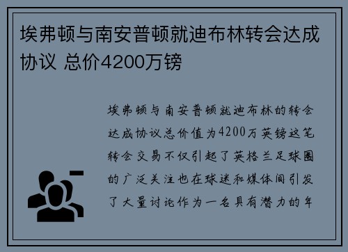 埃弗顿与南安普顿就迪布林转会达成协议 总价4200万镑